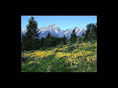 Mein Fotostream bei Flickr 